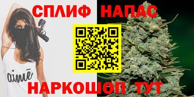 тгк Будённовск