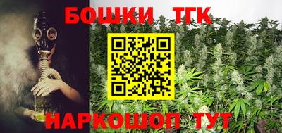 тгк Будённовск